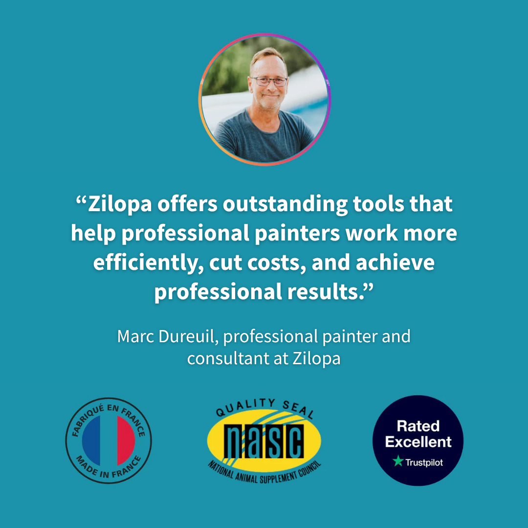 Cordless Paint Sprayer