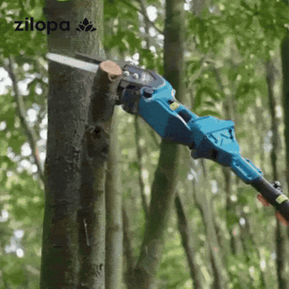 Powerful Lightweight Blower